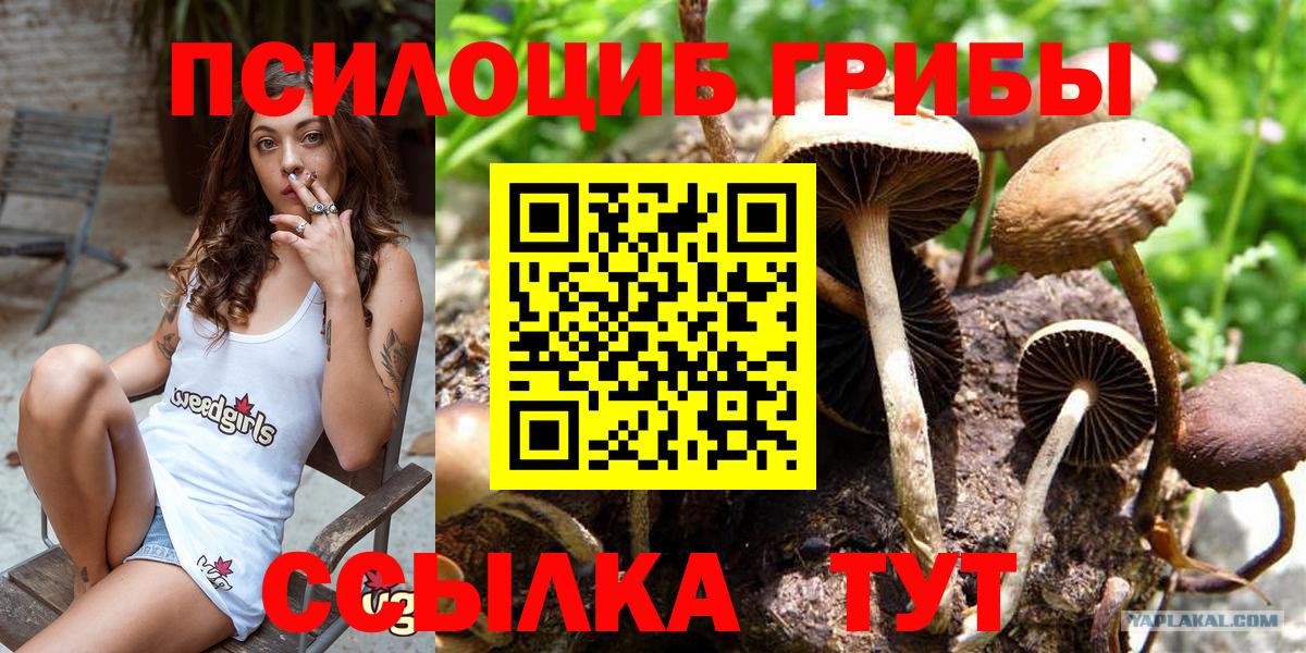 Бошки Шишки  Железноводск  Купить  МАРИХУАНА  МЕФ   Вход с VPN  АМФЕТАМИН кристаллы  ГАШ  Кокаин  Гашиш 