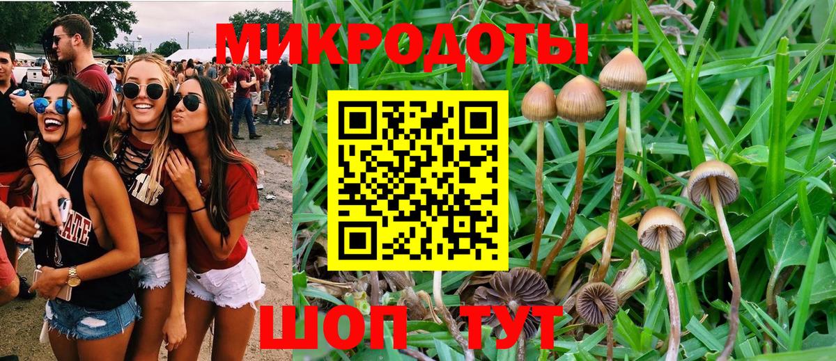 Псилоцибиновые грибы Cubensis Железноводск